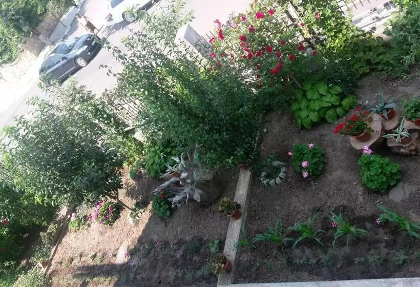 Pensiune Vila Hera