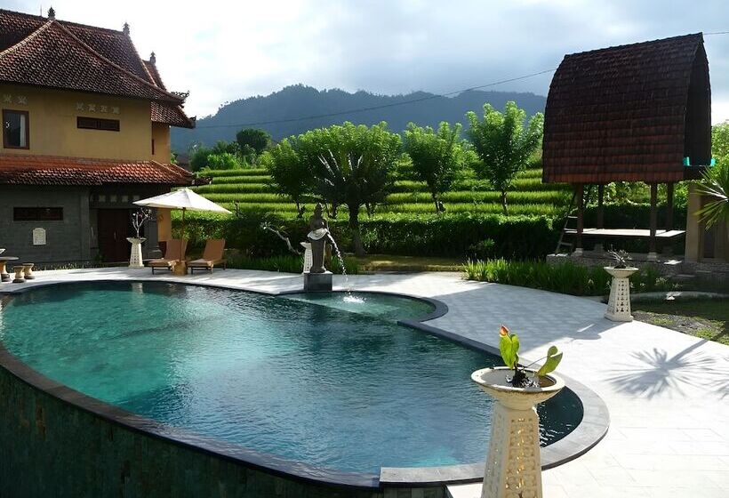 リゾートホテル The Kanjeng Signature Sidemen