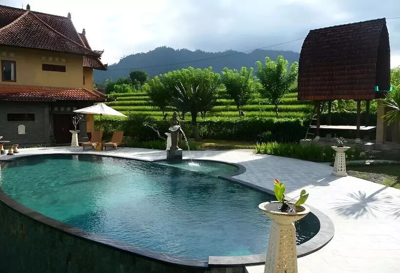 リゾートホテル The Kanjeng Signature Sidemen