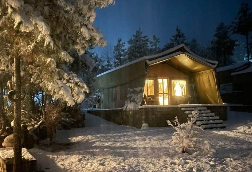 استراحتگاه The Tiger Nest Camp