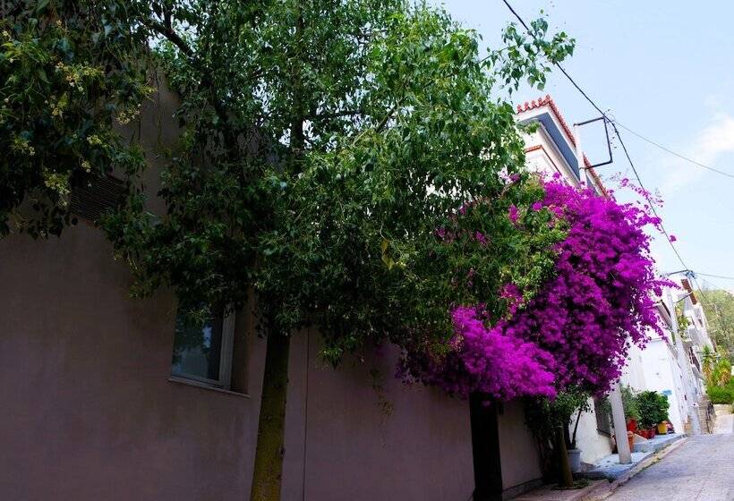 Absolute Athens Acropolis View