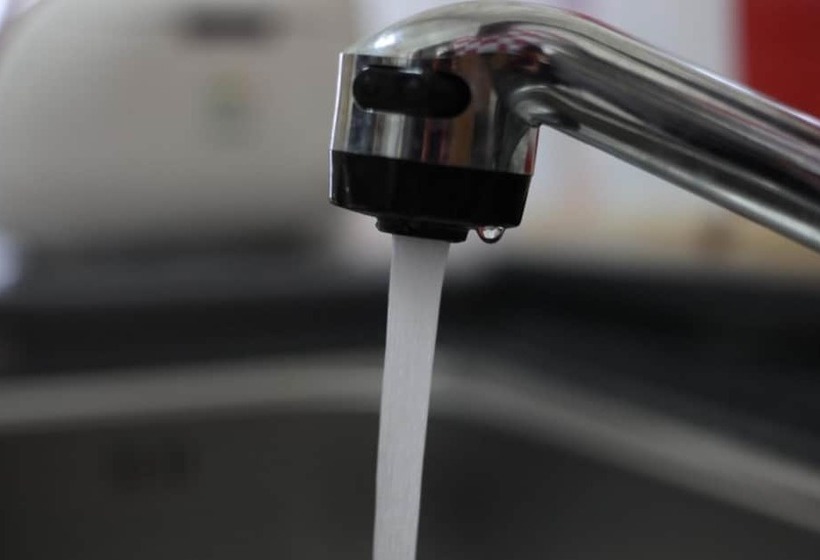 Chuncheon Pet Island Pension