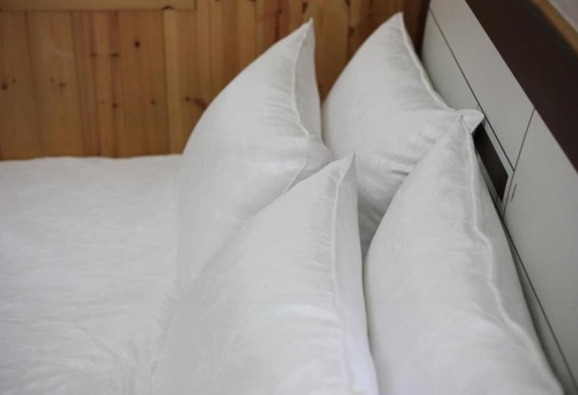 Chuncheon Pet Island Pension