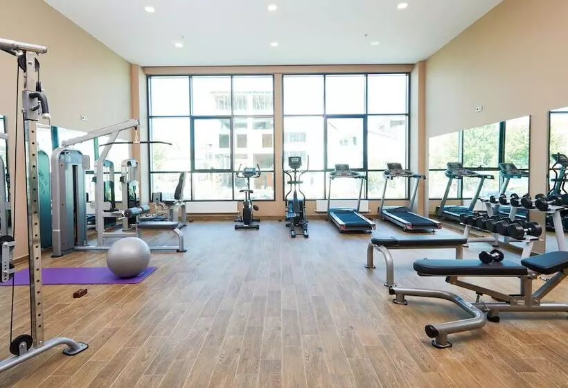 Hattusa Vacation Business Thermal Hotel Saray