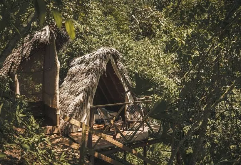 ホテル Tigrillo Rio Claroby Loscoloresecoparque