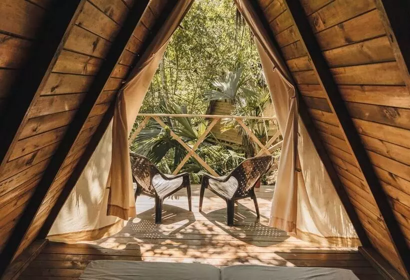 ホテル Tigrillo Rio Claroby Loscoloresecoparque