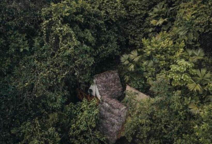 Szálloda Tigrillo Rio Claroby Loscoloresecoparque