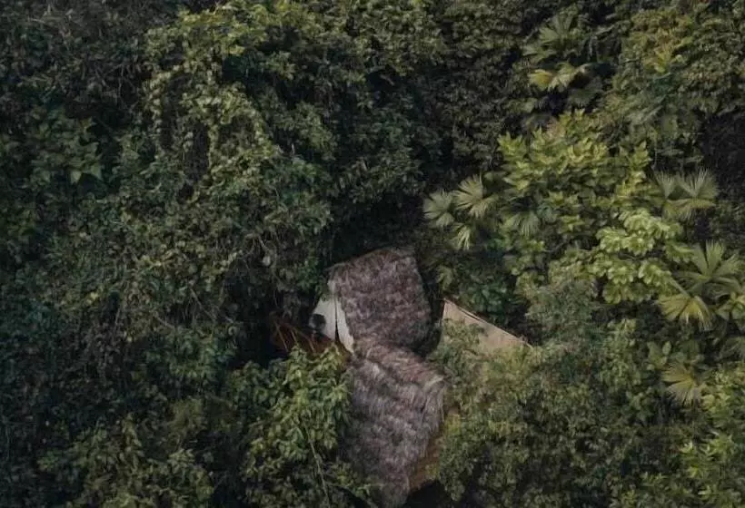 ホテル Tigrillo Rio Claroby Loscoloresecoparque