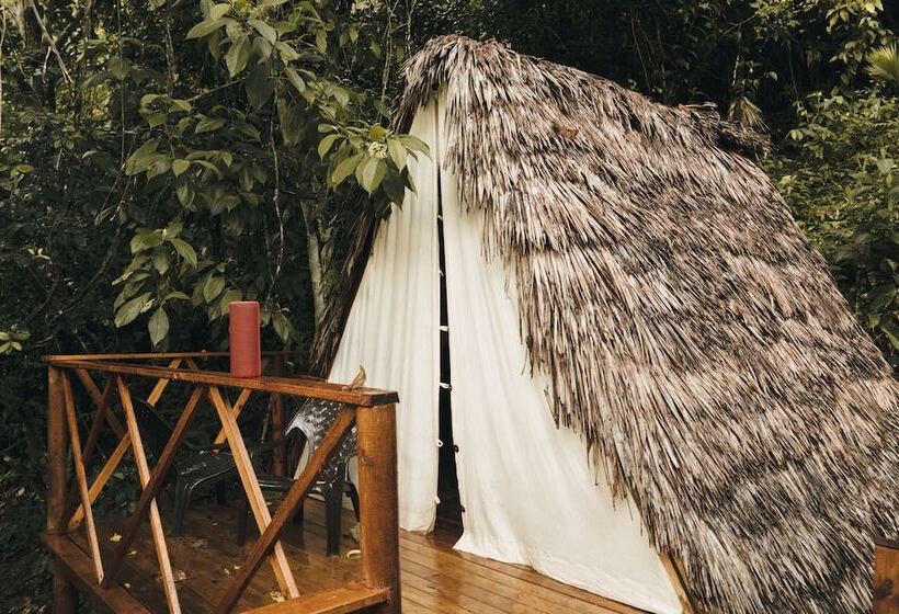 Szálloda Tigrillo Rio Claroby Loscoloresecoparque