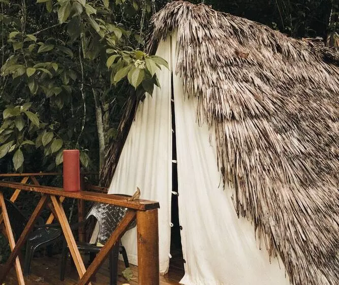 ホテル Tigrillo Rio Claroby Loscoloresecoparque