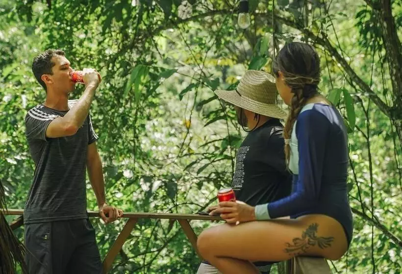 ホテル Tigrillo Rio Claroby Loscoloresecoparque