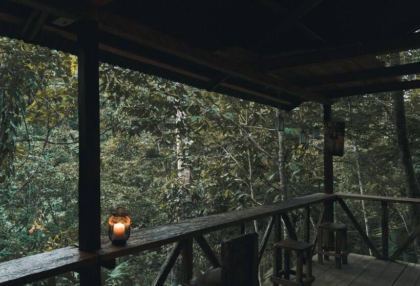 Szálloda Tigrillo Rio Claroby Loscoloresecoparque