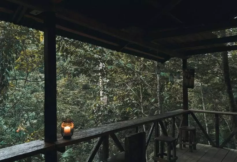 ホテル Tigrillo Rio Claroby Loscoloresecoparque