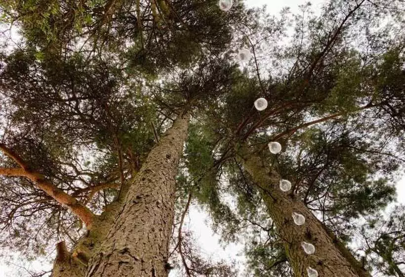 Lovely Semi Rural Caravan & Hot Tub   Sleeps Fam 6