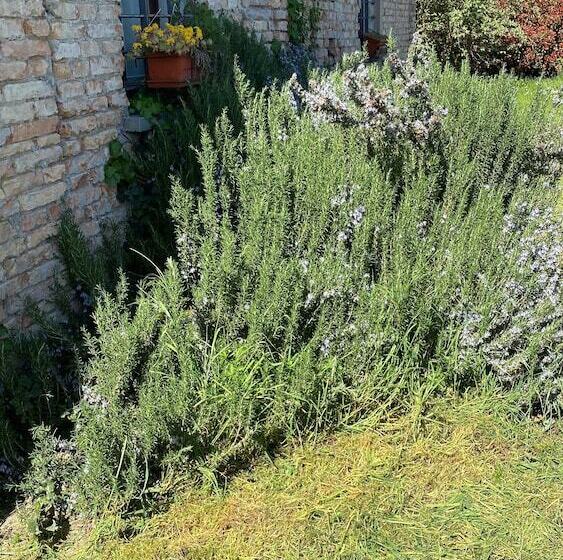 Пансион Affittacamere Ca  De Mazapedar