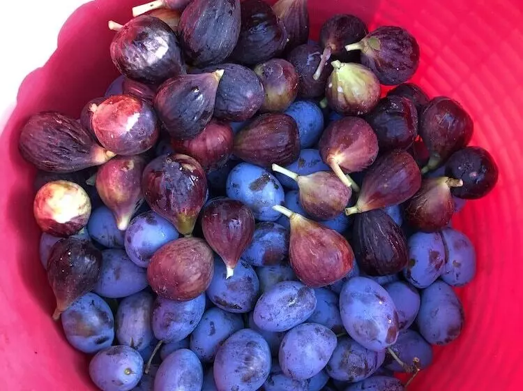 ペンション Affittacamere Ca  De Mazapedar