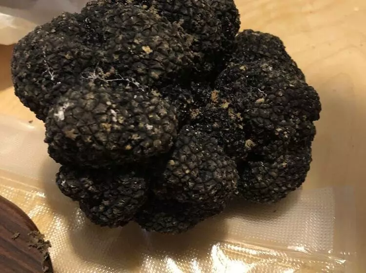 ペンション Affittacamere Ca  De Mazapedar