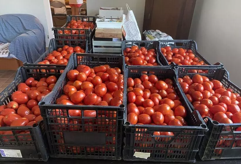 ペンション Affittacamere Ca  De Mazapedar