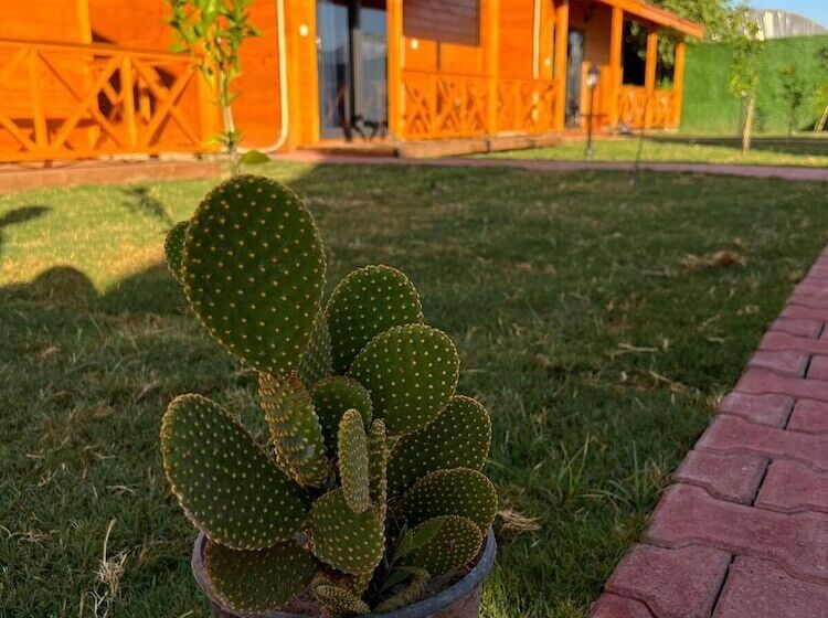 پانسیون Lemon Garden Bungalow