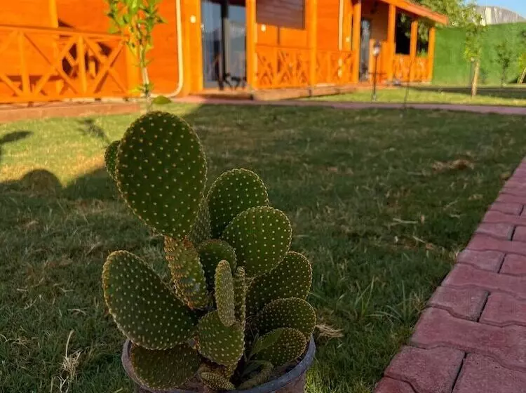 پانسیون Lemon Garden Bungalow