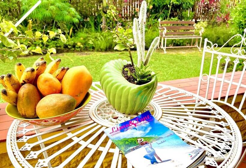 پانسیون Limetree Villa