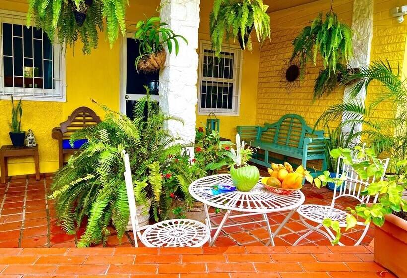 پانسیون Limetree Villa