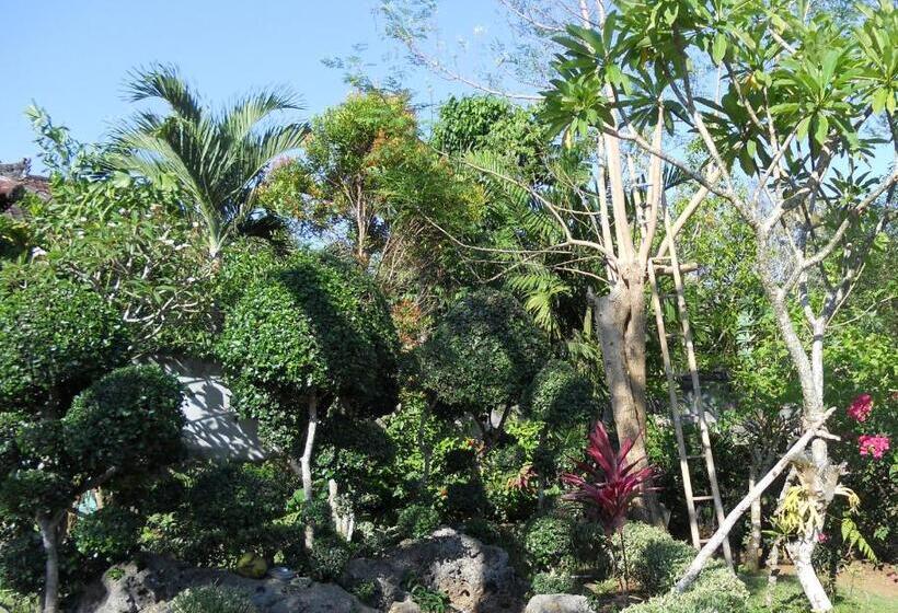 Avisara Villa & Suite