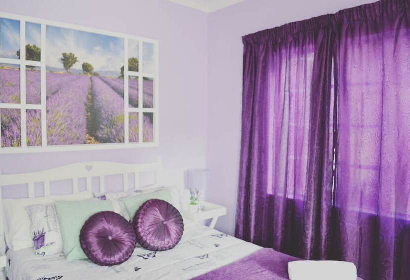 Homebase Melville  Hostel