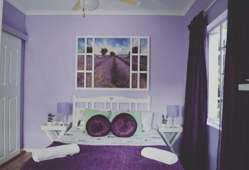 Homebase Melville  Hostel