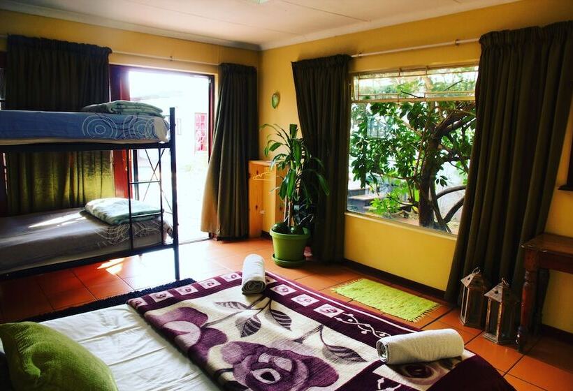 Homebase Melville  Hostel