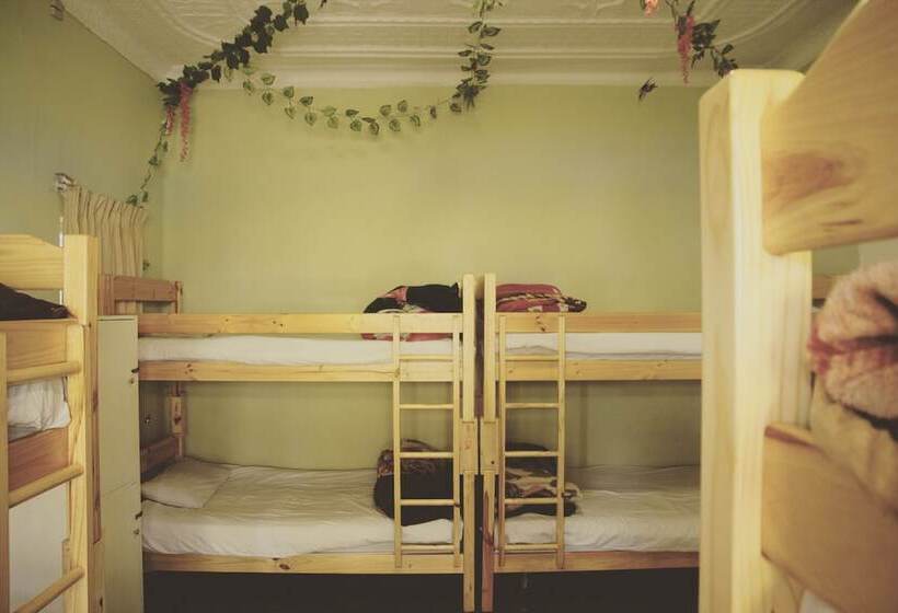 Homebase Melville  Hostel