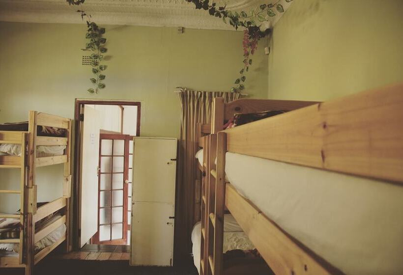 Homebase Melville  Hostel