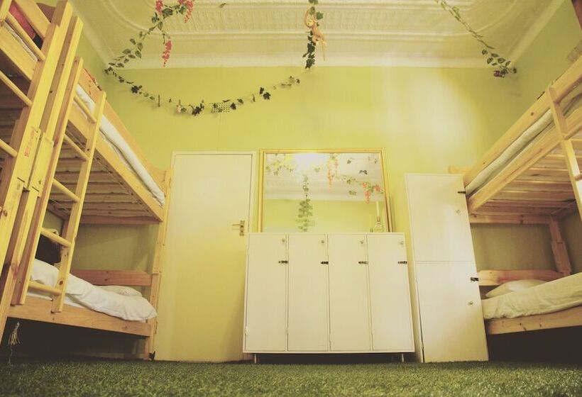 Homebase Melville  Hostel