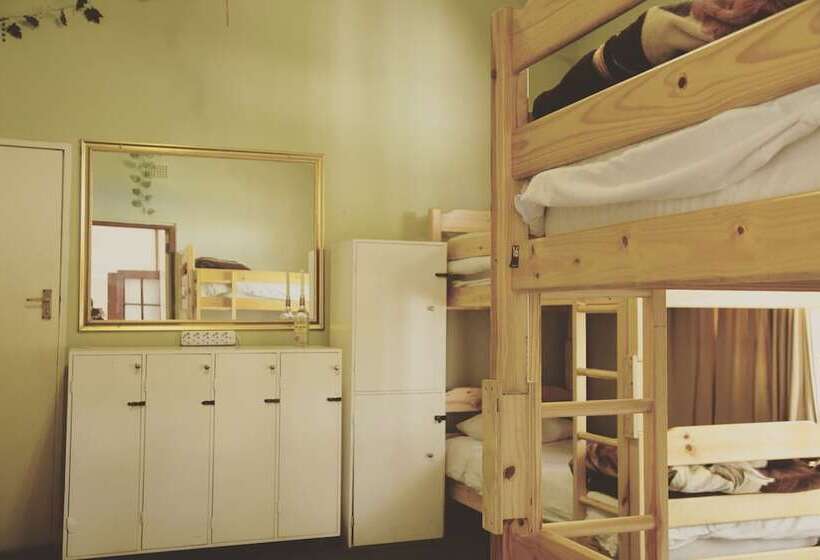 Homebase Melville  Hostel
