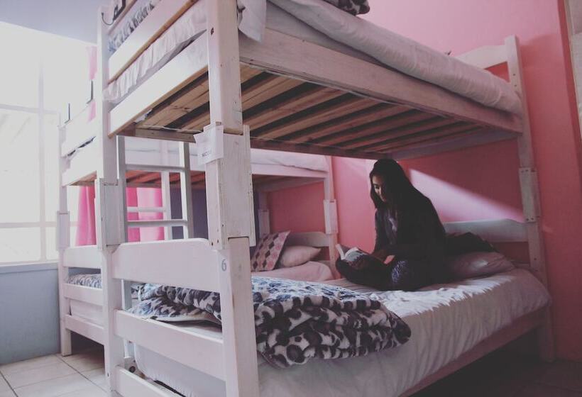 Homebase Melville  Hostel