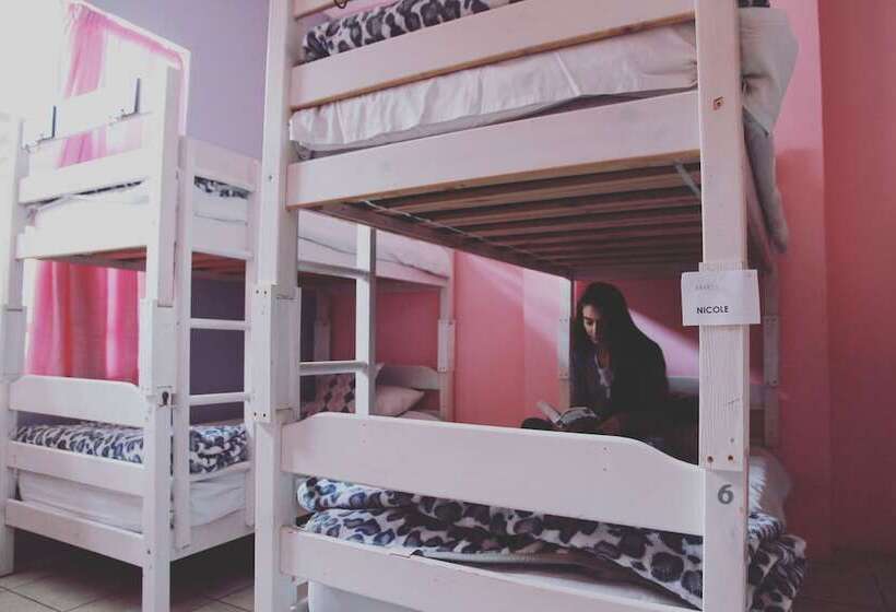 Homebase Melville  Hostel