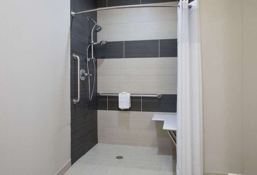 酒店 Days Inn By Wyndham Bryan