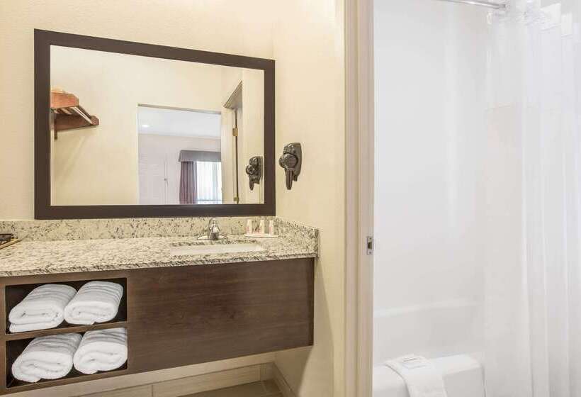 酒店 Days Inn By Wyndham Bryan