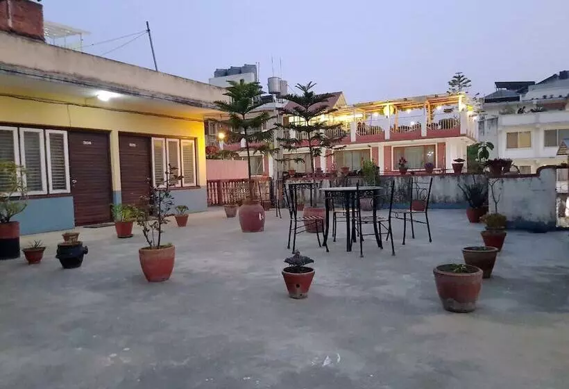 هتل Down Town