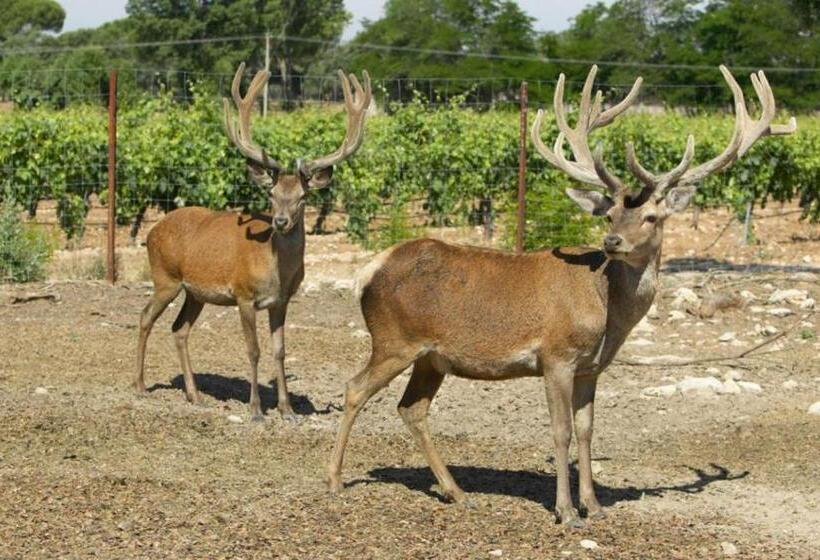 ホテル La Casita De La Planta
