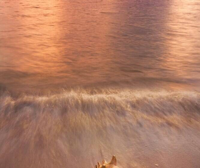 هتل Margaritaville Vacation Club St Thomas