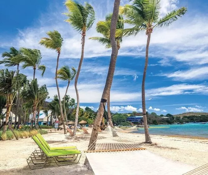هتل Margaritaville Vacation Club   St Thomas