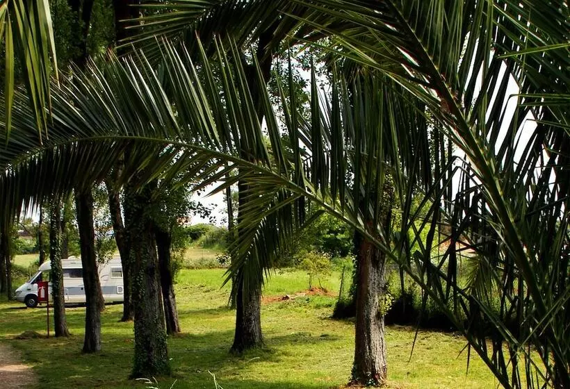 Hotelli Parque De Campismo Orbitur Angeiras