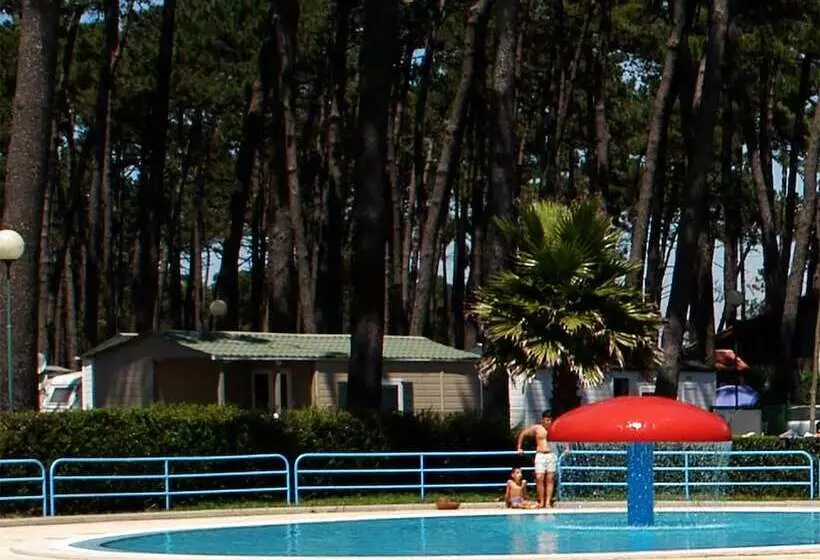 Hotelli Parque De Campismo Orbitur Angeiras