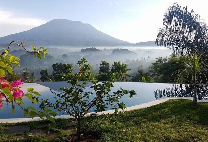 膳宿费 Villa Sidemen