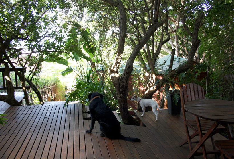 פנסיון Zen Guesthouse