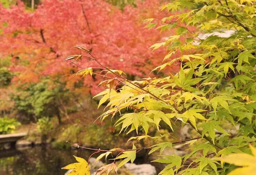 旅館 Genryu No Yado Hozantei