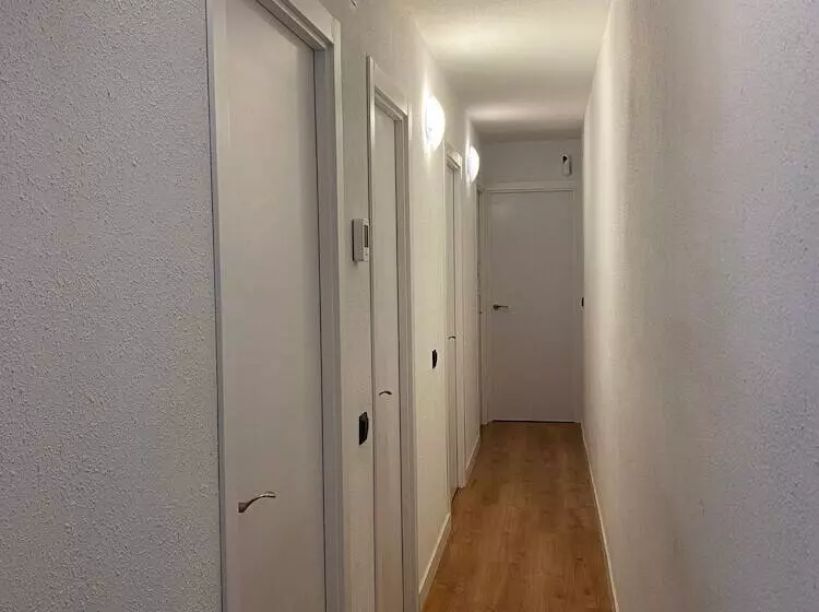 هاستل Room Grass