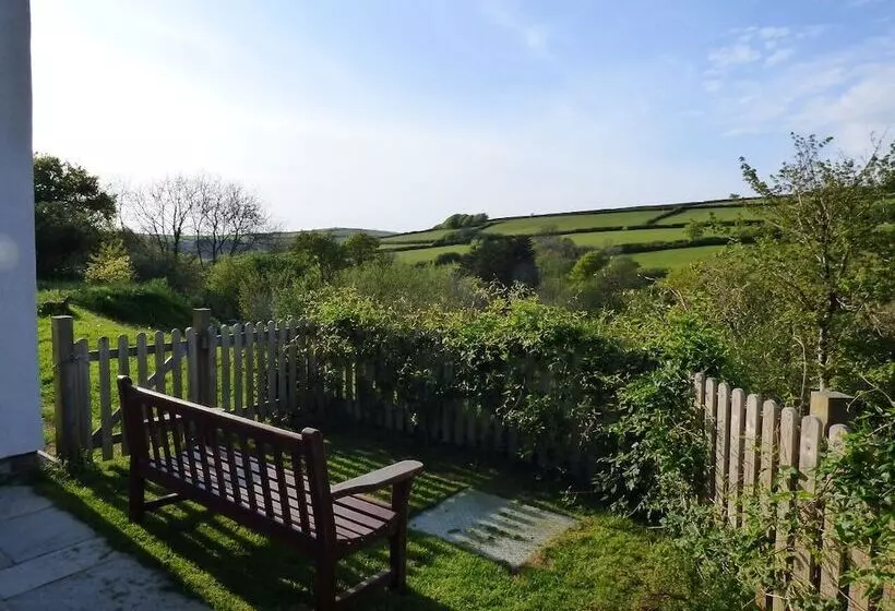 Bed and Breakfast Highfield House