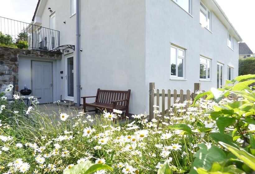 Bed and Breakfast Highfield House